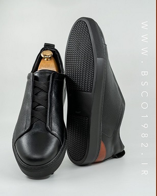 Men's  Vans   Model: 087
